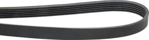 Pas wielorowkowy Optibelt, 6PK1613 6PK1613 - Intertraktor