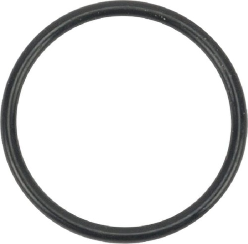 Pierścień uszczelniający O-ring s26.0 24341000260 - Intertraktor