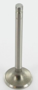 Odpowietrznik zaworu 3201601S