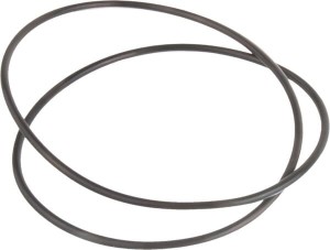 O-ring, Carraro CI028498
