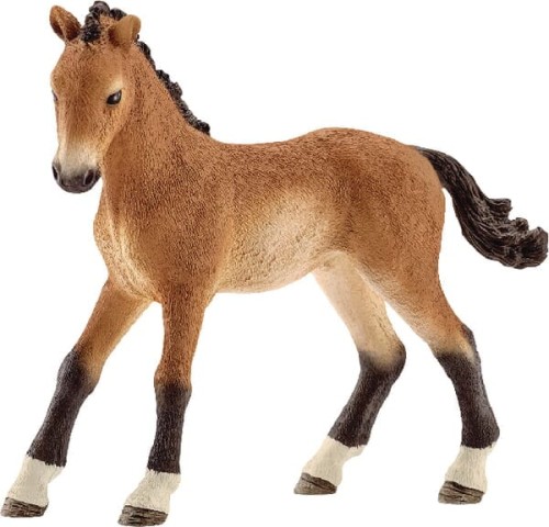 Tennessee Walker źrebię 13804SCH - Intertraktor