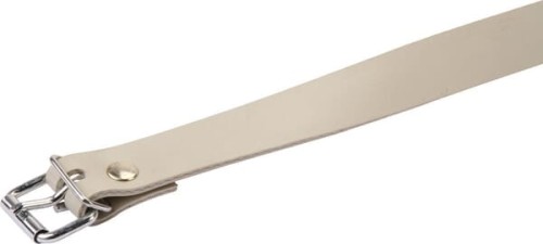 Pasek TIR ze sprzączką, 800 mm PL11276 - Intertraktor