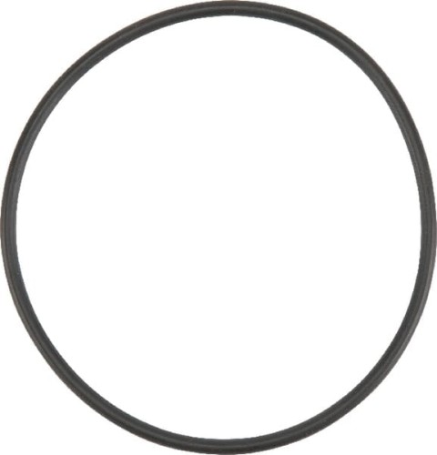 Pierścień uszczelniający o-ring X548953166000 - Intertraktor