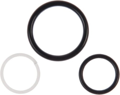 Zestaw uszczelek zaworu dla 1317-1024 8113179704 - Intertraktor