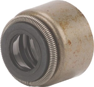 Uszczelniacz oleju RVC 25.5x8.5 920491062