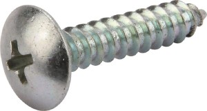 Śruba 4,8x22 D=11mm 310001431R30