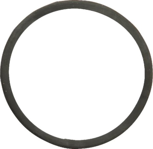 Uszczelka termostatu, Case-Steyr 130100061002 - Intertraktor