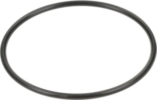 Pierścień uszczelniający o-ring 84460855 - Intertraktor