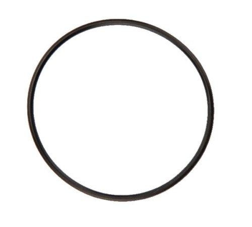Pierścień uszczelniający o-ring 52x2 Rau RG00026014 - Intertraktor
