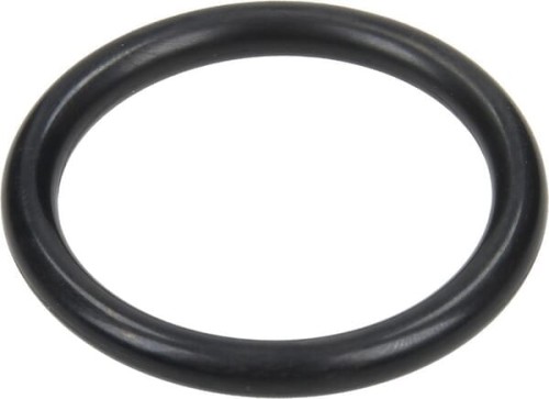 Pierścień uszczelniający o-ring 31.5x4.25mm czarny Annovi Reverberi 680070 - Intertraktor