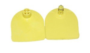 Kolczyk Multiflex U, część męska i żeńska, żółty, Caisley