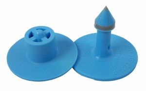 Kolczyk dla trzody Multiflex R, część męska i żeńska, niebieski, czysty, Caisley
