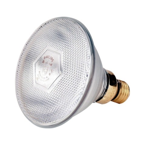 Promiennik podczerwieni, żarówka 100 W, PAR38, biała, Philips - Intertraktor