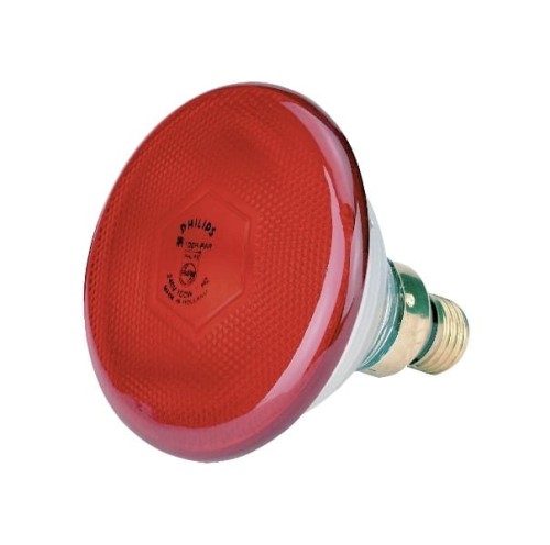 Promiennik podczerwieni, żarówka 100 W, PAR38, czerwona, Philips - Intertraktor