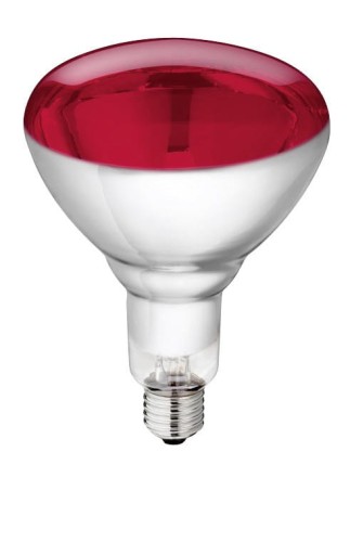Promiennik podczerwieni, żarówka 250 W, czerwona, szkło hartowane, Philips - Intertraktor