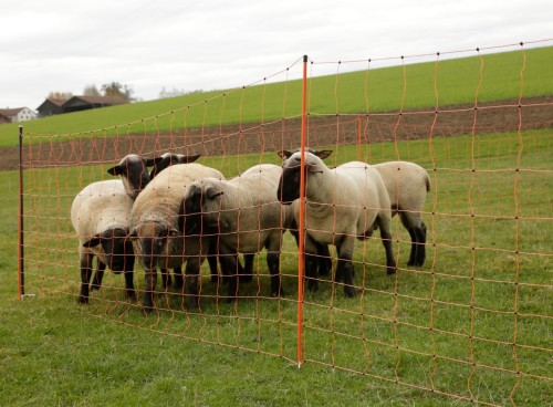Siatka dla owiec TopLine Net, 50m, 90 cm, poj. szpic, biało-pomarańczowa, Kerbl - Intertraktor