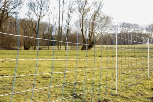 Siatka przeciwko wilkom TitanNet, 50 m, 145 cm, podw. szpic, niebiesko-biała, Kerbl - Intertraktor