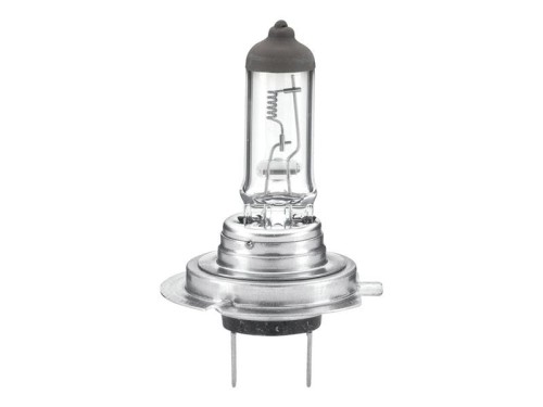 Żarówka (Halogen) H7, 24V, 70W, PX26d (Kartonik 1szt.) S.165695 - Intertraktor