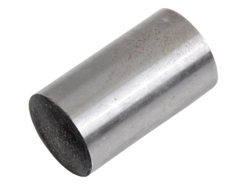 Carrier Gear Pin S.108152 - Intertraktor