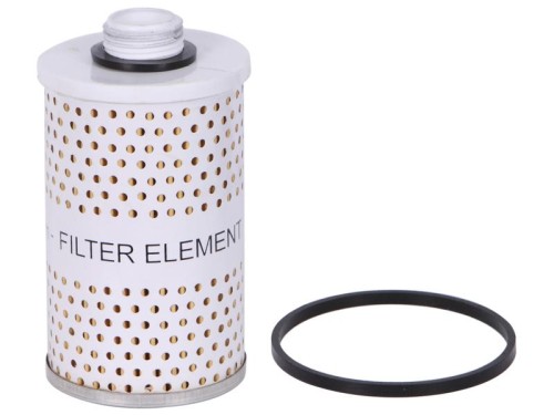 Debris Filter - 10 Micron Rating S.73155 - Intertraktor