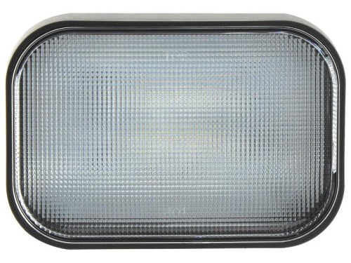LED Lampa robocza, Interference: Class 5, 4200 Lumeny, 10-30V S.163876 - Intertraktor