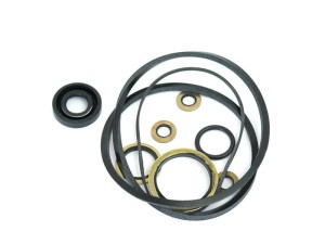 Zestaw uszczelniaczy do pompy S.65385 (Early Kidney-Shaped Pump) S.41610