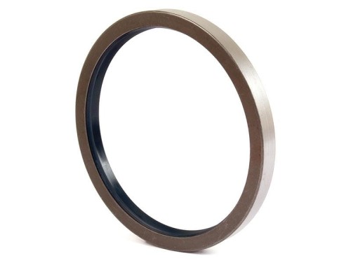 Metryczny Uszczelnienie wału obrotowego, 170 x 195 x 18mm S.42227 - Intertraktor