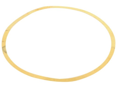 Liner Shim S.107568 - Intertraktor