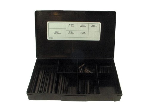 Kołek Sprężysty Assortment - Ø3 - 10 x 40 - 100mm, 60 szt Agropak. S.2851 - Intertraktor