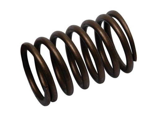 Sprężyna zaworu S.40505 - Intertraktor