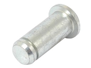 Trzpień (BEN) Ø12 x 29mm S.52320