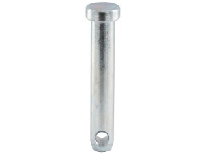 Sworzeń 22x113mm Kat. 1 S.9161