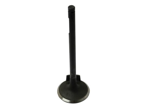 Zawór ssący S.62058 - Intertraktor