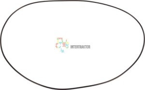 Pierścień uszczelniający o-ring CI028605